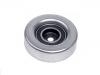 Guide Pulley:77 00 860 883